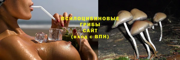 кокаин премиум Белокуриха